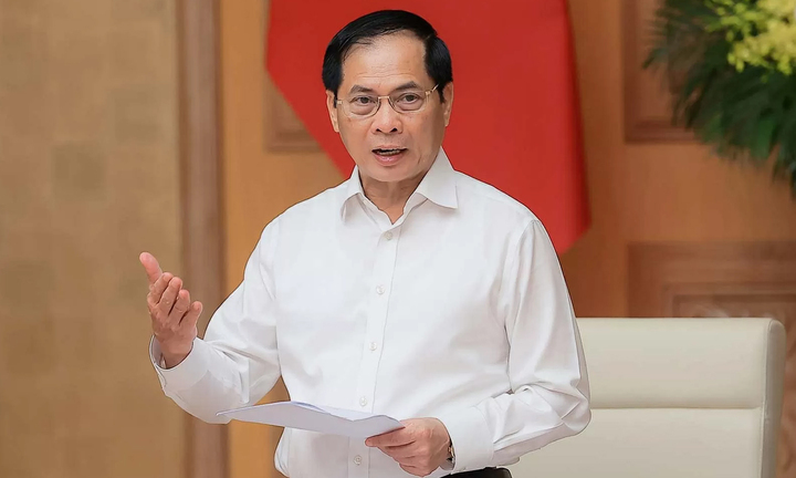 Phó Thủ tướng Bùi Thanh Sơn.