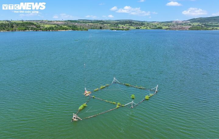 Cũng nhờ hồ chứa nước rộng lớn, người dân địa phương không chỉ sống dựa vào nương rẫy, mà còn có thêm thu nhập từ việc nuôi cá nước ngọt trong lồng bè và kinh doanh dịch vụ du lịch.