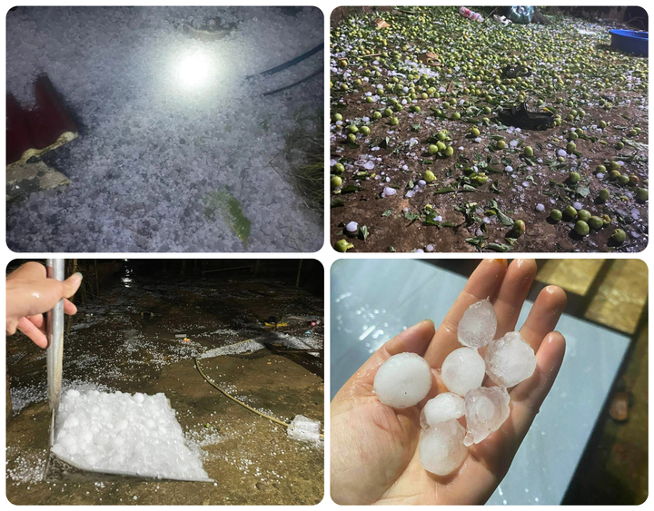 Mưa đá được trút xuống khu vực tỉnh Sơn La trong chiều 22/3. (Ảnh: Thanh Hương)