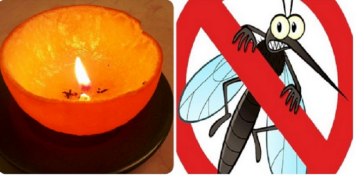 Có nhiều cách đuổi muỗi tự nhiên hiệu quả.