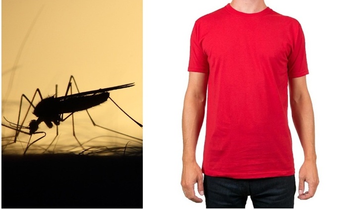 Mặc trang phục màu đỏ tăng khả năng bị muỗi tấn công.
