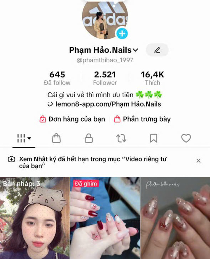 Dùng TikTok quảng cáo vay tiền, hai cô gái lừa đảo chiếm đoạt tài sản - 2