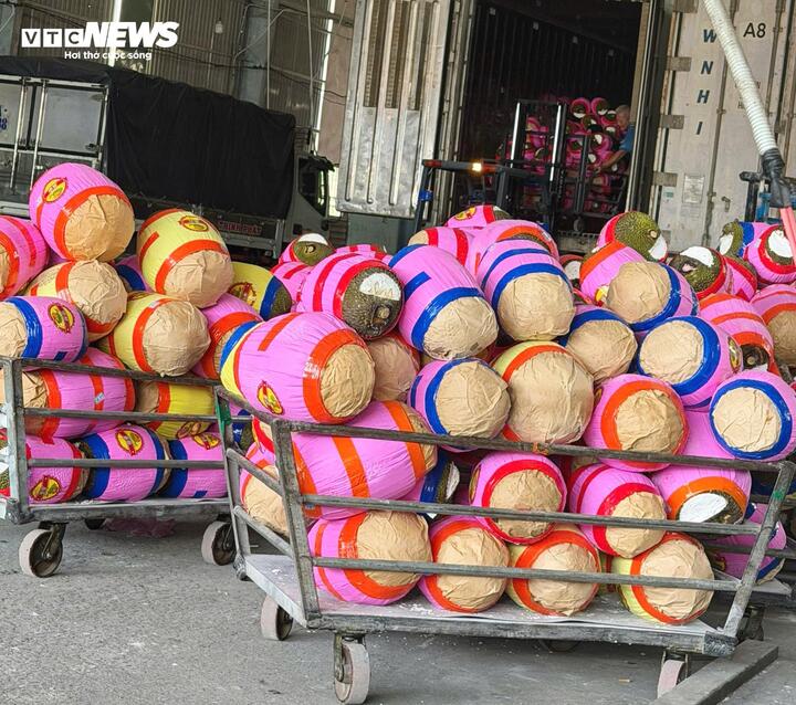 Mít đưa về bán lẻ, giá giảm sâu chỉ còn vài nghìn đồng mỗi kg.