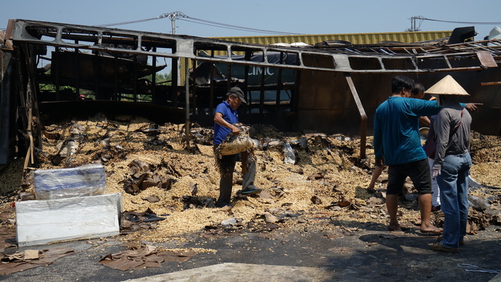 16 tấn hạt điều bị thiệt hại.