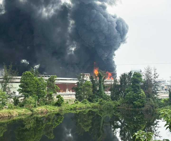 Nguyên nhân vụ cháy được xác định do chập điện bên trong khu nhà xưởng.