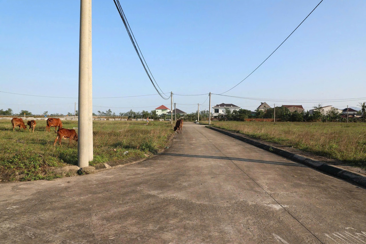 Trong khi đó, khu tái định cư cách đó không xa vẫn đang bỏ hoang