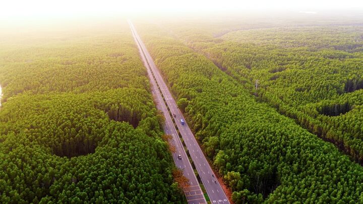 Cung đường chạy của VnExpress Marathon Green Paradise Cần Giờ trong lòng khu dự trữ sinh quyển thế giới được UNESCO công nhận.