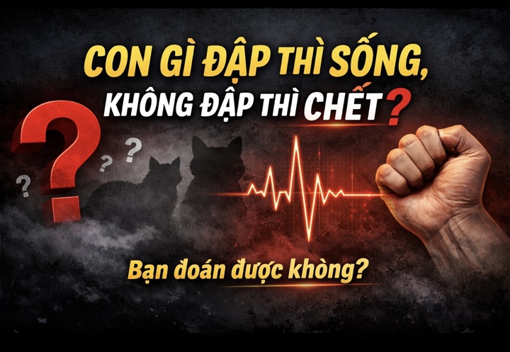 Con gì đập thì sống, không đập thì chết?