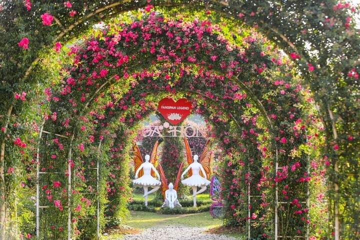Lễ hội hoa hồng 2026 diễn ra tại Fansipan từ ngày 25/4 đến hết ngày 3/5 sẽ là sự kiện hấp dẫn không thể bỏ qua.