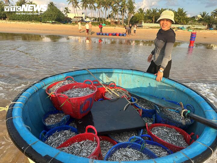 Những ghe cá đầy ắp mang theo nụ cười của người dân làng biển. “Biển nuôi sống cả làng. Có hôm trúng luồng cá thì vui lắm, có hôm ít hơn. Mấy năm nay thường mất mùa nhưng bà con vẫn kiên trì bám biển. Nghề này cha ông để lại nên chúng tôi gắn bó từ đời này qua đời khác” - chị Nguyễn Thị Lam nói.