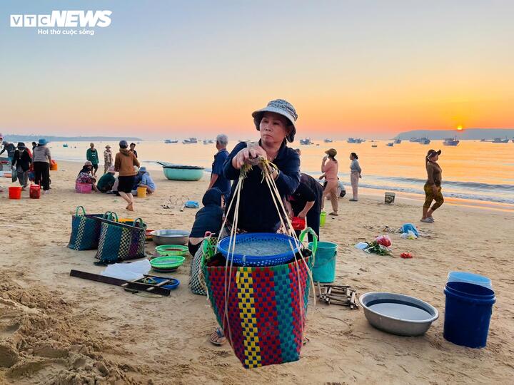 Mỗi gánh cá nặng khoảng từ 50–100kg, những người phụ nữ làng biển cố gánh đi thật nhanh để kịp làm nhiều chuyến, tranh thủ kiếm thêm thu nhập.