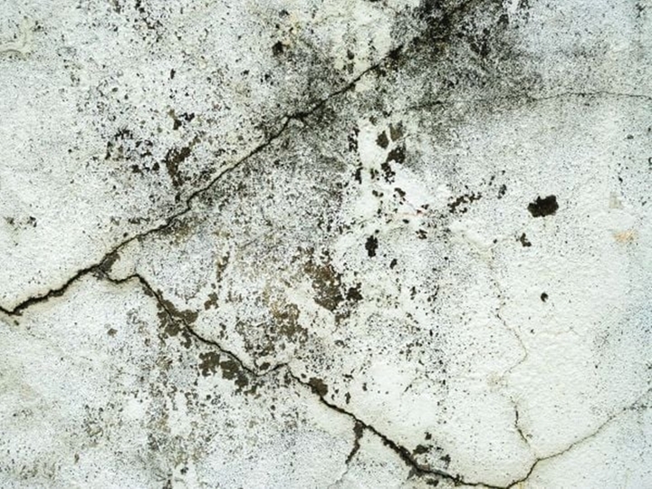 Tường bị mốc đen do nhiều nguyên nhân. (Ảnh: ACE Home Center)