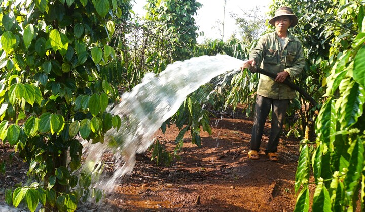 Nhiều nông dân chuyển từ tưới bằng máy chạy dầu sang sử dụng điện 3 pha hoặc điện năng lượng mặt trời. Dù chi phí đầu tư ban đầu khá lớn nhưng về lâu dài có thể giúp giảm đáng kể chi phí nhiên liệu.