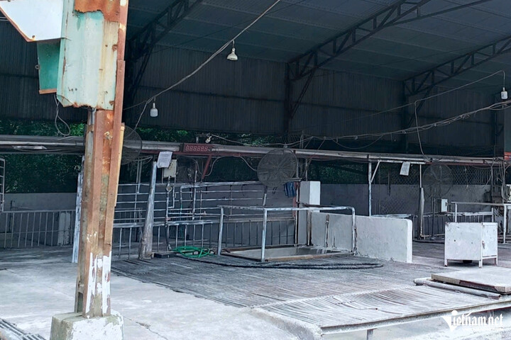 Camera giăng kín 'căn bếp' cung cấp thịt lợn nhiễm bệnh vào trường học ở Hà Nội - 9