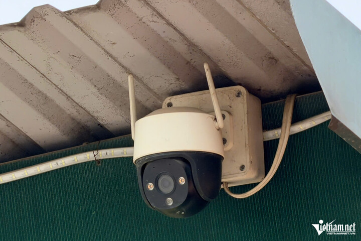 Camera giăng kín 'căn bếp' cung cấp thịt lợn nhiễm bệnh vào trường học ở Hà Nội - 3