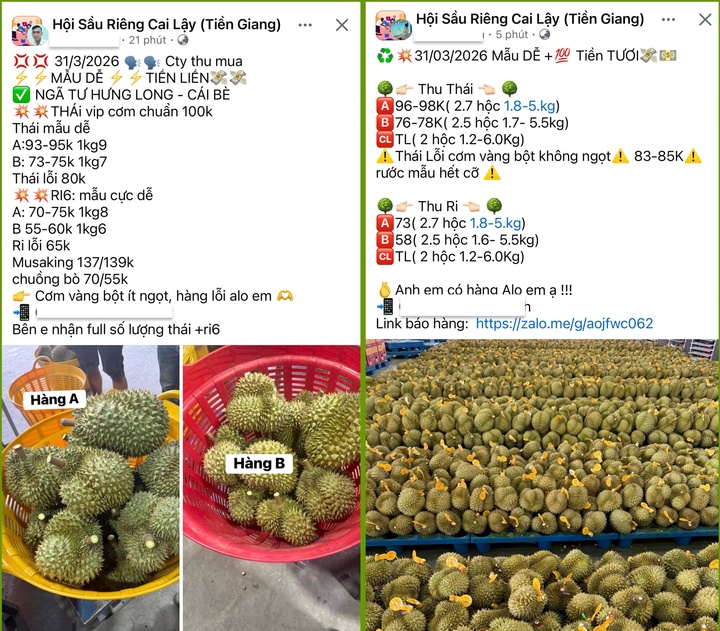 Các chủ vựa đăng giá thu mua công khai trên các hội nhóm. (Ảnh chụp màn hình)