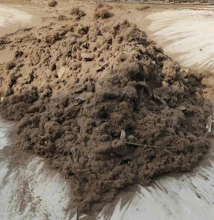 Bụi gỗ gom thành đống trên sân đình thôn Vòng Huyện. (Ảnh: người dân cung cấp)