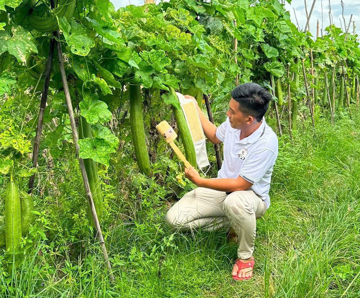 Anh Đỗ Đăng Khoa phát triển nhiều dòng sản phẩm từ trái mướp già ở địa phương.