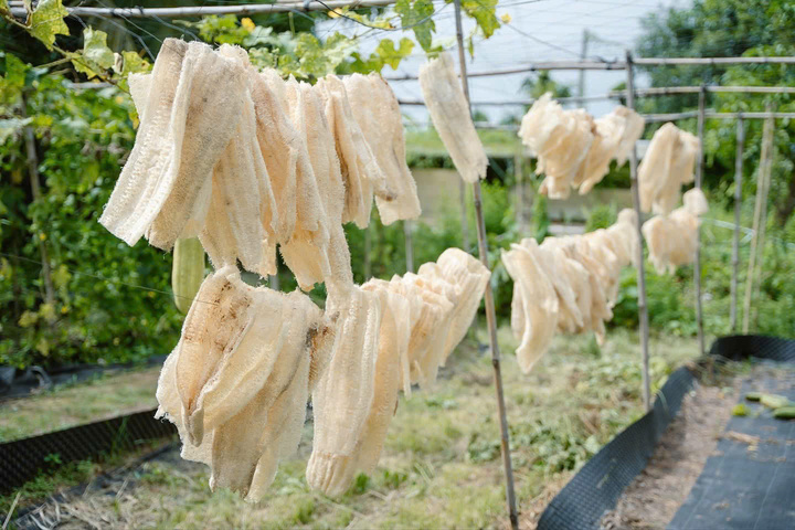 Quả mướp già sẽ được loại bỏ phần thịt, giữ lại phần xơ, làm sạch rồi đem phơi.