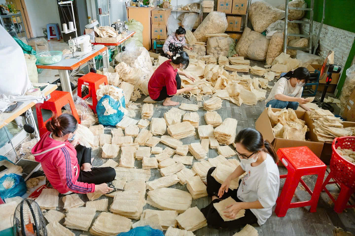 Người lao động địa phương tham gia sơ chế, gia công xơ mướp tại Đồng Tháp.