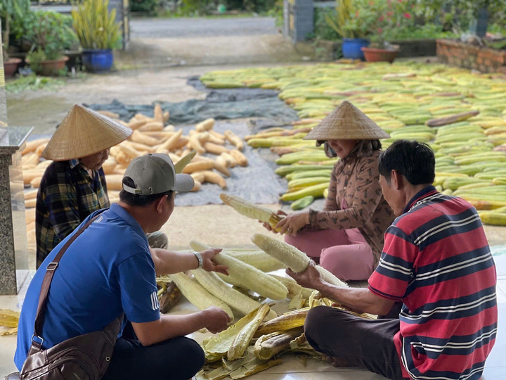 Mỗi năm, cơ sở của anh Khoa tiêu thụ khoảng 2 triệu trái mướp.