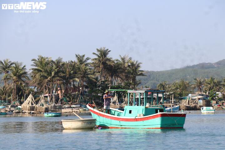 Chính quyền một số địa phương như Xuân Đài, Sông Cầu cho biết, đa số hộ nuôi không tuân thủ quy hoạch, nuôi vượt mật độ và không thực hiện kê khai từ đầu năm. Điều này dẫn đến việc không xác định được vị trí nuôi cụ thể, không đủ căn cứ pháp lý để hỗ trợ theo quy định.