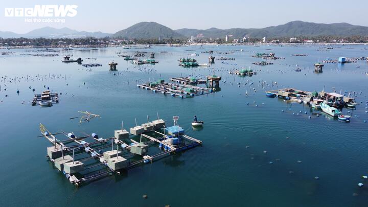 Hơn 4 tháng sau bão lũ lịch sử tháng 11/2025, nhiều địa phương tại tỉnh Đắk Lắk đã triển khai chính sách hỗ trợ người dân khôi phục sản xuất. Tuy nhiên, riêng lĩnh vực nuôi trồng thủy sản, đặc biệt là tôm hùm, phần lớn hộ dân vẫn chưa thể tiếp cận nguồn hỗ trợ. Nguyên nhân chủ yếu xuất phát từ thực trạng nuôi tự phát, mật độ dày đặc, ngoài vùng quy hoạch và không thực hiện kê khai từ đầu.