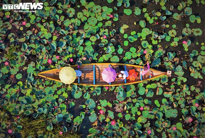 Quyết định phê duyệt quy hoạch trên không chỉ nhằm bảo tồn giá trị sinh thái đặc biệt mà còn xác định rõ mục tiêu biến nơi đây thành một khu chức năng quan trọng của tỉnh Gia Lai.