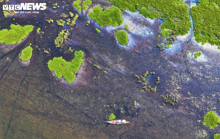 Nằm cách trung tâm Quy Nhơn khoảng 70km về phía Bắc, đầm Trà Ổ (hay còn gọi là hồ Châu Trúc, Bàu Bàng) như một bức tranh thủy mặc hữu tình. Với quy hoạch chung vừa được phê duyệt, đầm Trà Ổ hứa hẹn trở thành tâm điểm du lịch sinh thái và là hình mẫu về phát triển kinh tế xanh, bền vững.