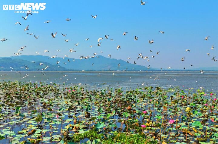 Phát triển xanh và bền vững là "kim chỉ nam" cho nên trong quy hoạch lần này phải gắn với mục tiêu bảo vệ môi trường: "Việc lập quy hoạch nhằm giải quyết xung đột trong sử dụng tài nguyên nước, đồng thời làm cơ sở để khai thác hiệu quả tiềm năng gắn với bảo vệ hệ sinh thái đặc thù của đầm", quyết định phê duyệt nêu rõ.