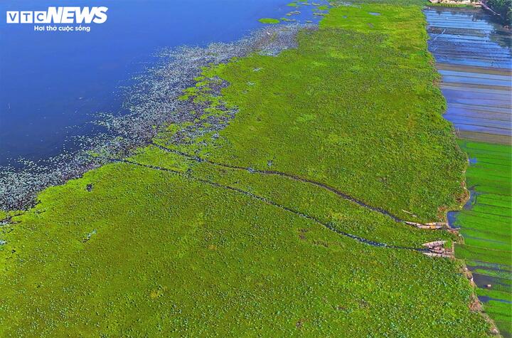 Các giải pháp kỹ thuật đưa ra đối với đầm Trà Ổ như nạo vét 320 ha đáy đầm để tăng dung tích trữ nước, xây dựng lại đập Hòa Tân theo hướng xả đáy để tạo luồng cho cá di chuyển, giữa lại vẻ đẹp "thảm lụa xanh" và những sản vật trù phú...