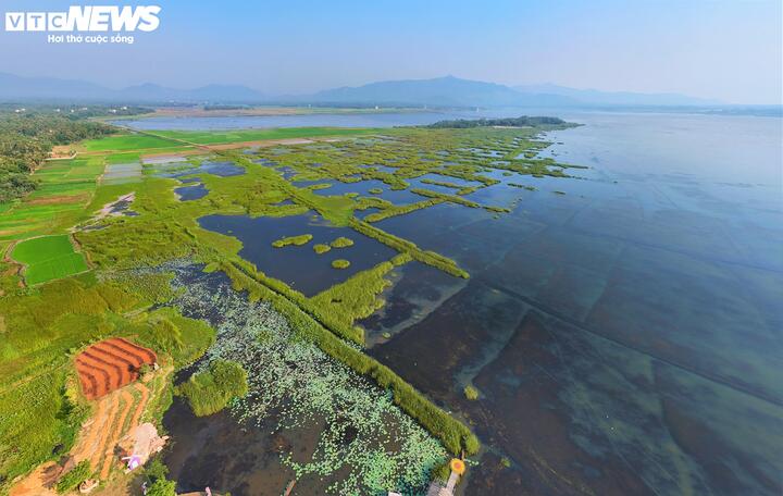 UBND tỉnh Gia Lai chính thức phê duyệt Quy hoạch chung xây dựng tỷ lệ 1/5.000 khu vực đầm nước lợ Trà Ổ nằm trên địa bàn các xã Bình Dương, Phù Mỹ Đông, Phù Mỹ Bắc với quy mô gần 5.700 ha.