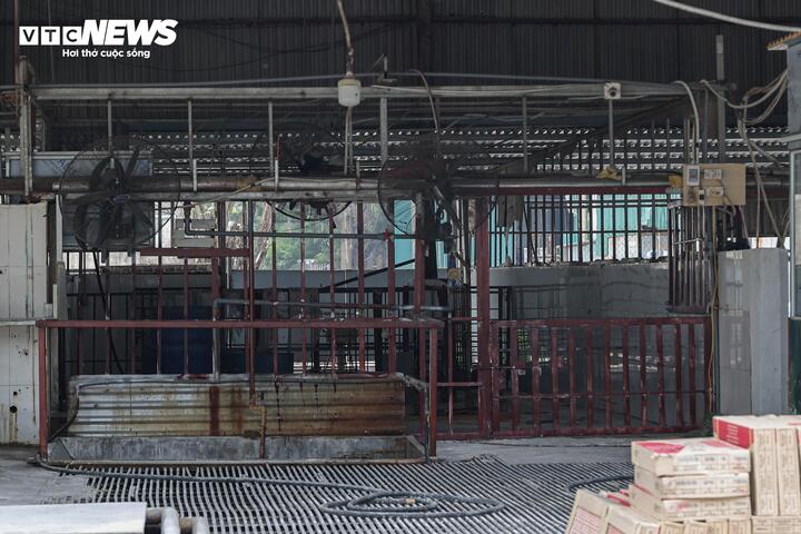 “Theo quy định, mỗi lần thương lái vận chuyển lợn đến giao cho các chủ lò mổ đều phải xuất trình giấy chứng nhận kiểm dịch hoặc giấy tờ chứng minh nguồn gốc. Sau khi kiểm tra hồ sơ và khám lâm sàng, nếu xác định động vật đủ điều kiện, bảo đảm nguồn gốc và không có biểu hiện bất thường, cán bộ kiểm soát mới cho phép đưa vào giết mổ,” người này cho biết.