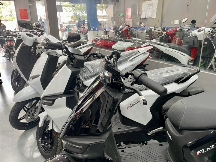 Các mẫu xe điện hiện khá đa dạng với nhiều mức giá đáp ứng nhu cầu của nhiều nhóm khách mua.