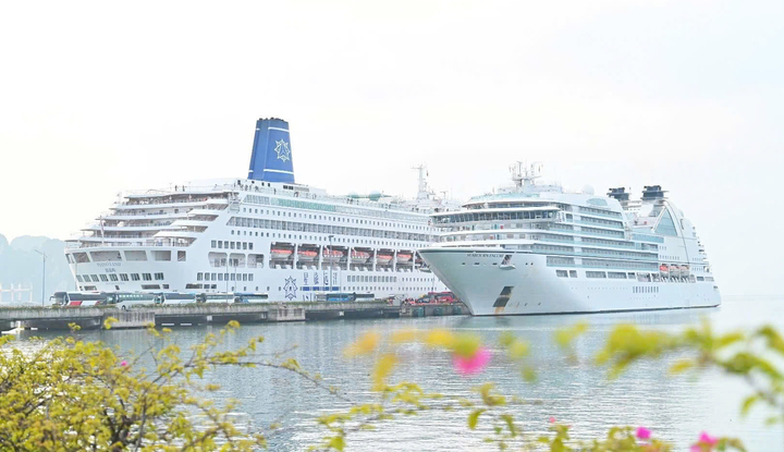 Khách quốc tế đi tàu biển đến Quảng Ninh cũng đạt những tín hiệu tích cực nhờ hạ tầng được đầu tư bài bản, hiện đại.