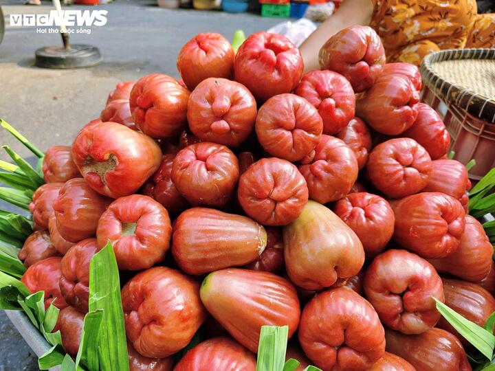 Mận hồng MST dù giá đắt nhưng vẫn được nhiều người tìm mua.