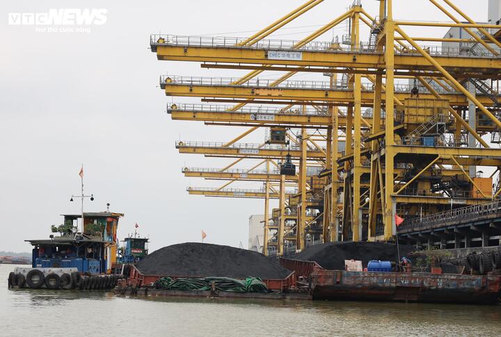 Khu vực cảng tập kết than vận chuyển lên băng chuyền chuyển vào Nhà máy.