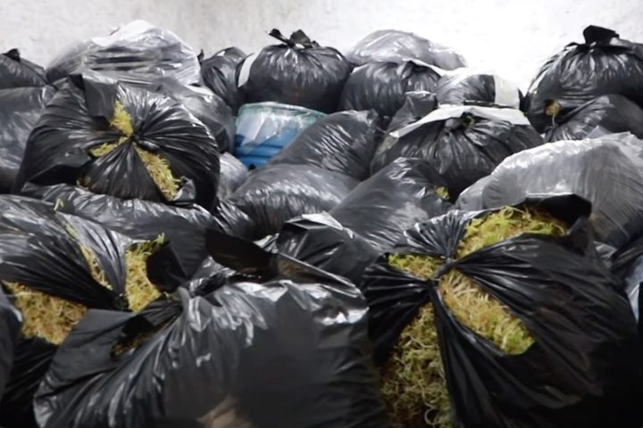 Khởi tố kẻ dùng hóa chất kích thích giá đỗ, tuồn hơn 500 tấn ra thị trường - 3