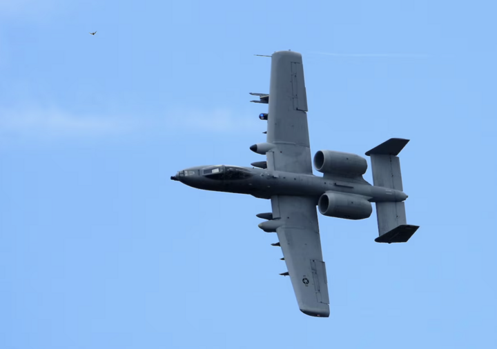 Cường kích A-10 Thunderbolt II được biết đến rộng rãi với biệt danh “Lợn lòi” (Warthog). (Nguồn: Reuters)