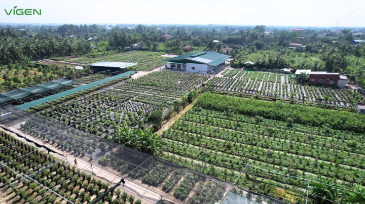 Tổ hợp nghiên cứu và khu trưng bày của ViGen với quy mô 7ha được chia làm 4 cơ sở, ứng dụng công nghệ hiện đại nuôi cấy giống cây trồng