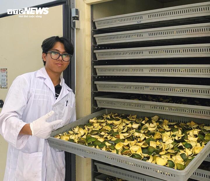 Vỏ cam sành được thu gom để làm nguyên liệu sản xuất bao bì sinh học.