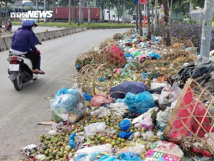 Cam bị vứt bỏ như rác trên đường gây lãng phí và áp lực xử lý phế phẩm nông nghiệp.