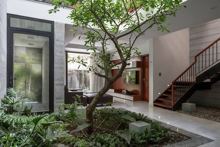 Trồng cây dưới giếng trời là cách đưa thiên nhiên vào nhà phổ biến. (Ảnh: Sbs villa)