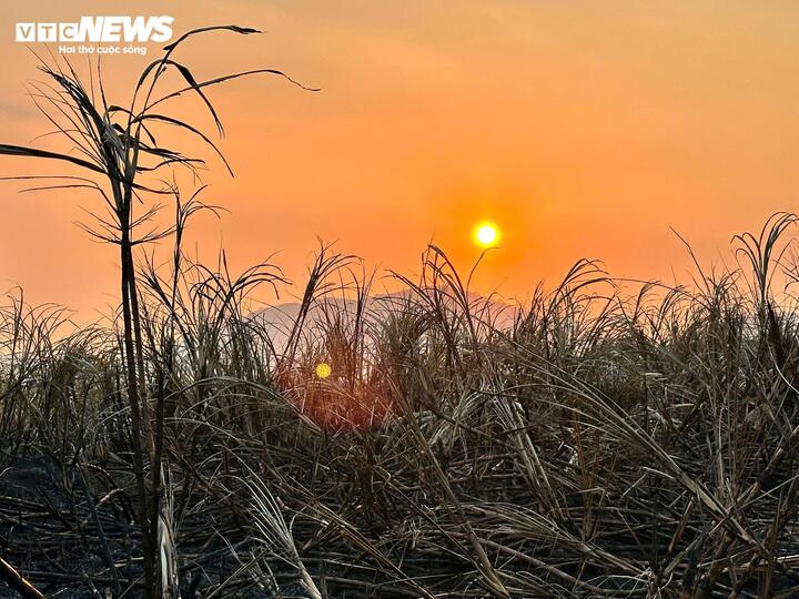 Những ngày qua, khu vực phía Đông Đắk Lắk có nơi trên 40 độ C