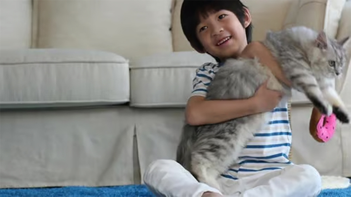 Các bác sỹ đặc biệt cảnh báo rằng phân và lông của gia súc không được tẩy giun định kỳ tiềm ẩn nguy cơ rất cao. (Ảnh minh họa)