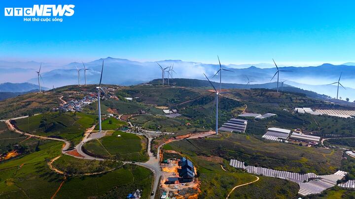 Nằm cách trung tâm Đà Lạt (Lâm Đồng) khoảng 20km về phía Đông Nam, Đồi chè Cầu đất có lịch sử gắn liền với quá trình hình thành và phát triển của Đà Lạt - vùng đất cao nguyên được khám phá vào cuối thế kỷ XIX.