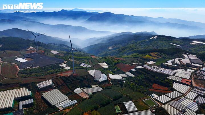 Sau khi bác sĩ Alexandre Yersin phát hiện cao nguyên Lâm Viên vào năm 1893, người Pháp nhanh chóng nhận ra tiềm năng khí hậu và thổ nhưỡng nơi đây đối với các loại cây công nghiệp, đặc biệt là cây chè.