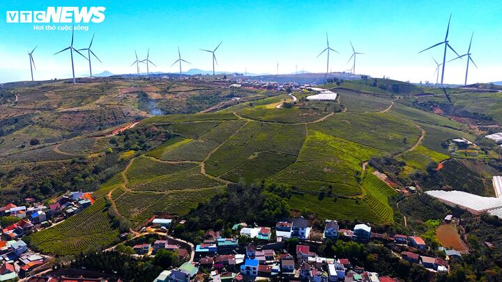 Vào lúc mới thành lập nhà máy có trên 1.000 phu được người Pháp tuyển từ các tỉnh Quảng Nam, Quảng Ngãi, Bình Định, Phú Yên đến vùng đất mới lập nghiệp. Năm 1931 sản phẩm trà đen Cầu Đất chính thức được xuất khẩu sang Đức, Pháp và Hà Lan. Từ năm 1960 đến 1975, Sở trà Cầu Đất được các thương gia người Hoa mua lại và quản lý, vận hành. Sau năm 1975, nông trường chè này được giao cho lại Công ty Chè Lâm Đồng. Đến tháng 2/2005 thì chuyển thành Công ty cổ phần Chè Cầu Đất - Đà Lạt.