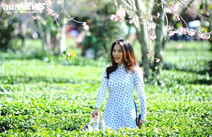 Những triền đồi chè xanh mướt với các luống xếp lớp nối nhau như những đường vân mềm mại trên tấm lụa xanh khổng lồ, trải dài đến tận chân trời tạo nên các background tự nhiên lý tưởng cho nhiếp ảnh và các hoạt động check in.