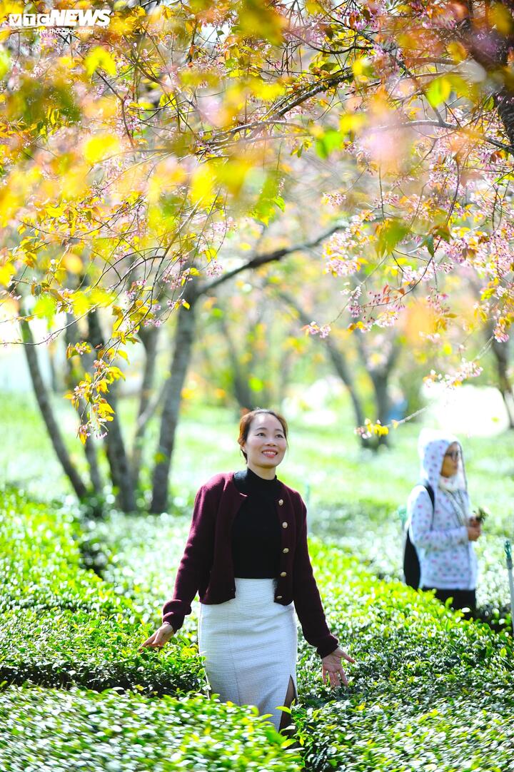 Du khách tìm đến Cầu Đất không chỉ để tận hưởng không khí trong lành mà còn để ghi dấu hành trình của mình qua những khung hình mang tính biểu tượng. Từ đó, địa điểm này dần được định vị như một địa điểm nhất định phải ghé thăm khi đến Đà Lạt.